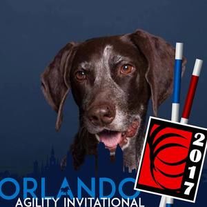 Meet your Posher, Brent